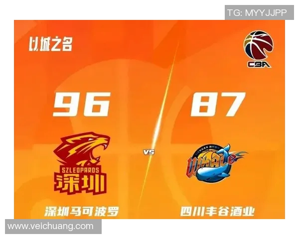 深圳篮球队球员实力强劲最新个人能力TOP10榜单揭晓